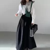 韩国chic小众波点不规则翻领拼接长袖衬衫+高腰压褶半身裙套装女 半身裙S 均码