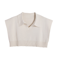 短款上衣女夏季薄款设计感小众polo衫宽松飞飞袖显瘦别致短袖t恤 图片色 均码