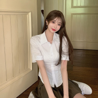 大码胖MM韩版休闲气质套装秋季修身polo领衬衫+高腰百褶裙两件套 衬衣 S码[建议80-90斤]