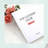 正版 民法典2021年版新修订中华人民共和国民法典 大字条旨版 全国两会修订2021年新版中国民新法典草案法律法规