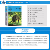 正版 牧羊神豹 动物小说大王沈石溪品藏书系中小学生课外阅读书不带拼音儿童文学书籍 浙江少年儿童出版社共265页DB