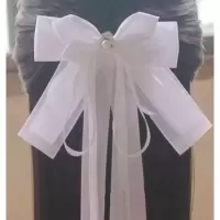 小龙女长飘带蝴蝶结发夹古典发簪子步摇蕾丝古装COS仙女发饰 白色10CM弹簧夹