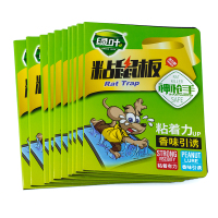 北京绿叶加大加厚强力粘鼠板高效老鼠粘贴工具带引诱