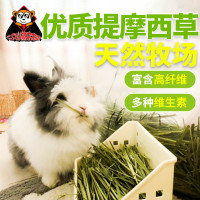 新低温烘干提摩西草 北提500克熊家特提龙猫兔子荷兰猪牧草