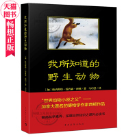 正版 我所知道的野生动物 西顿 猎物的故事 中学生课外读物书籍 中国青年出版社 世界动物小说之父 西顿作品