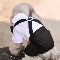 27斤以下/|绅士小狗礼服狗狗衣服 小西服绅士泰迪装狗狗西装 如图衣服带领结 SS胸32长20适合2斤左右狗狗