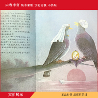 [晨晔网 正版]犟龟 3-6岁儿童励志图画书经典读物 一只倔犟的乌龟的旅程 告诉孩子们 上了路 就天天走 总会遇见隆重的