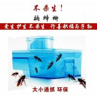 蟑螂诱捕器 小强放生器 物理捕蟑螂 不杀生 30元两个装