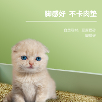 豆腐猫砂除臭无尘大袋活性炭抗菌 结团猫沙5公斤10斤猫咪用品 混合猫砂2KG(4斤)