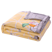 特价夏季空调被夏凉被子薄夏天双人水洗棉可机洗单人薄款春秋被芯