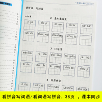 一年级二年级三年级小学生字帖人教版语文课本上册下册同步儿童笔顺本硬笔楷书每日一练笔画练习者每日一练书法训练练字帖拼音笔画