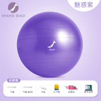 瑜伽球加厚防爆健身球儿童感统训练孕妇专用助产减肥球大龙球 [紫色]加厚防爆 赠六件套 45CM