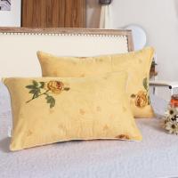 枕头一只装学生宿舍单人韩式可爱女生情侣双人家用一对枕芯带枕套 春满枝头(1枕芯+1枕)