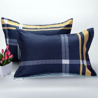 学生枕套一只装 单人简约枕头套男单件儿童小号一个40x60宿舍单个 大蓝块 40cmX60cm