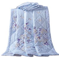 四季夏凉被空调被可水人被双人被被芯夏季儿童学生薄被子 晴天蓝色悠然绽放 儿童被100×140cm