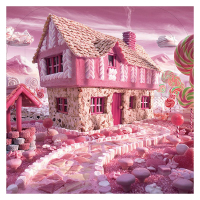 300片大号卡通公主儿童拼图板益智积木玩具6-7-8-10-12岁 300片带底板 糖果屋