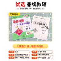 2021新版 孟建平暑假作业三年级 语文 准备升级 人教版小学暑假衔接教材三升四测试卷同步练习册3升4下册暑期培训假期训