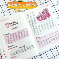 小学生阅读与作文阶梯训练 4年级/四年级上下册通用 升级版 小学生语文小学阶梯阅读与写作训练题天天练人教版 波波乌作文