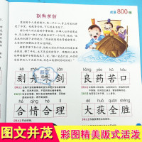 学前成语800例小学生版正版幼小衔接教材小学入学准备全套大班幼儿园儿童识字训练大全幼儿认字书早教启蒙故事绘本教育书籍3-