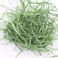 提摩西草兔子干草兔子吃的草荷兰猪饲料牧草超绿提草500g一斤