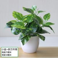 仿真绿植塑料小盆栽盆景套装家居摆设摆件书桌柜迷你装饰假花 黑色
