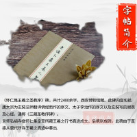 全新正版 唐怀仁集王羲之圣教序 繁体旁注陈高潮行书.怀仁《集王羲之圣教序》毛笔字帖大唐三藏圣教序字帖