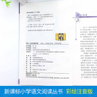 [4本28元系列]狮子、女巫和魔衣橱 正版书 二十一世纪出版社 彩图注音版小学生丛书适合6-7-8-9-10岁儿童阅读书