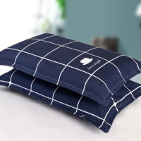 枕套一对装单人枕用韩式情侣大号学生宿舍床成人枕芯套枕头套 简单格调[枕套一对]