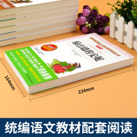 正版 绿山墙的安妮 小学生青少年版课外书必读3-4-5-6年级课外阅读书籍三四五六年级儿童文学世界经典名著绿山墙上的安妮