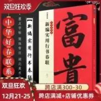正版新编实用行书春联 墨点字帖中华好春联系列 行书创作对联 湖 正版新编实用行书春联 墨点字帖中华好春联系列 行书创作对