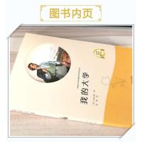 有声伴读 我的大学高尔基原著正版世界经典文学名著典藏书籍