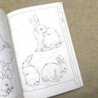 百兽画谱 中国画线描/李学志/白描猫狗 鹿 虎 猴等图集走兽画集 百兽画谱 中国画线描/李学志/白描猫狗 鹿 虎 猴等图