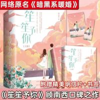 新店促销笙笙予你 潇湘书院顾南西 原名暗黑系暖婚青春言情小说 笙笙予你试读联系客服