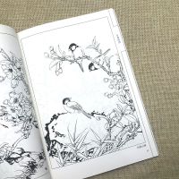 百禽画谱 中国画线描/王健/白描禽鸟翎毛图集 花鸟画底稿临摹范本