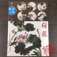 临摹宝典荷花中国画技法/沈舜茂江慧恒/写意荷花画法步骤作品赏析 临摹宝典荷花中国画技法/沈舜茂江慧恒/写意荷花画法步骤作