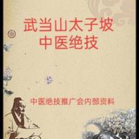 武当山太子坡中医绝技 中医绝技推广 中医配方 武当山太子坡中医绝技 中医绝技推广 中医配方