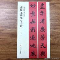 北魏张猛龙碑楷书集字春联春联挥毫魏碑毛笔楷书临摹字帖墓志铭 北魏张猛龙碑楷书集字春联春联挥毫魏碑毛笔楷书临摹字帖墓志铭