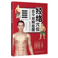 从零开始学经络养生 图解经络穴位按摩除百病大百科中医书籍 经络穴位古今对照挂图