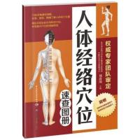 人体经络穴位标准大图册 中医按摩人体经络穴位图解养生 基础大全 人体经络穴位标准大图册