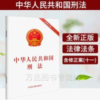 2021中华人民共和国刑法法条单行本新刑法修正案十一中国刑法典 中华人民共和国刑法(含修正案(十一))
