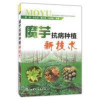 魔芋抗病种植新技术书 高产魔芋种植技术书籍 蘑芋种教材书籍 魔芋抗病种植新技术书 高产魔芋种植技术书籍 蘑芋种教材书籍