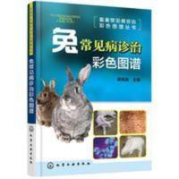 兔常见病诊治彩色图谱养兔技术兔子养殖技术书高效养兔技术大全 兔常见病诊治彩色图谱养兔技术兔子养殖技术书高效养兔技术大全