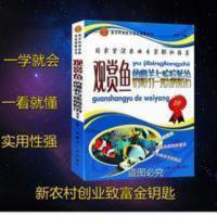 观赏鱼的喂养与疾病防治 金鱼锦鲤热带海水鱼饲养病虫害防治书籍 观赏鱼的喂养与疾病防治 金鱼锦鲤热带海水鱼饲养病虫害防治书