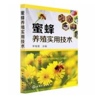 蜜蜂养殖实用技术 蜜蜂养殖技术大全书养蜂技术书籍 科学饲养蜜蜂 蜜蜂养殖实用技术