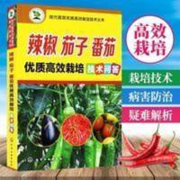 辣椒茄子番茄优质高效栽培技术问答蔬菜高效种植技术书籍辣椒种植 辣椒茄子番茄优质高效栽培技术问答蔬菜高效种植技术书籍辣椒种