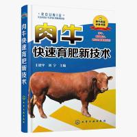 肉牛快速育肥新技术 养牛书籍大全兽医牛病全书肉牛养殖技术书牛 正版