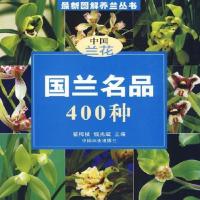 正版 国兰名品400种 翟梅枝 观赏园艺书籍