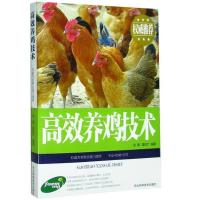 养殖鸡鸭鹅牛羊猪农业畜牧家禽养殖书新农村动物养殖技术资料大全 高效养鸡技术