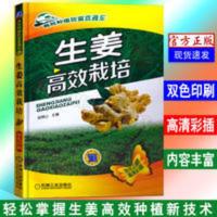 生姜高效栽培 高效种植致富直通车 生姜有机栽培技术生姜种植书籍 生姜高效栽培 高效种植致富直通车 生姜有机栽培技术生姜种