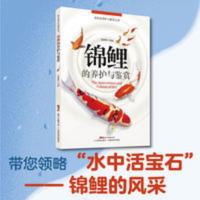 锦鲤的养护与鉴赏 池塘养鱼观赏鱼养殖技术大全书观赏鱼疾病防治 锦鲤的养护与鉴赏 池塘养鱼观赏鱼养殖技术大全书观赏鱼疾病防